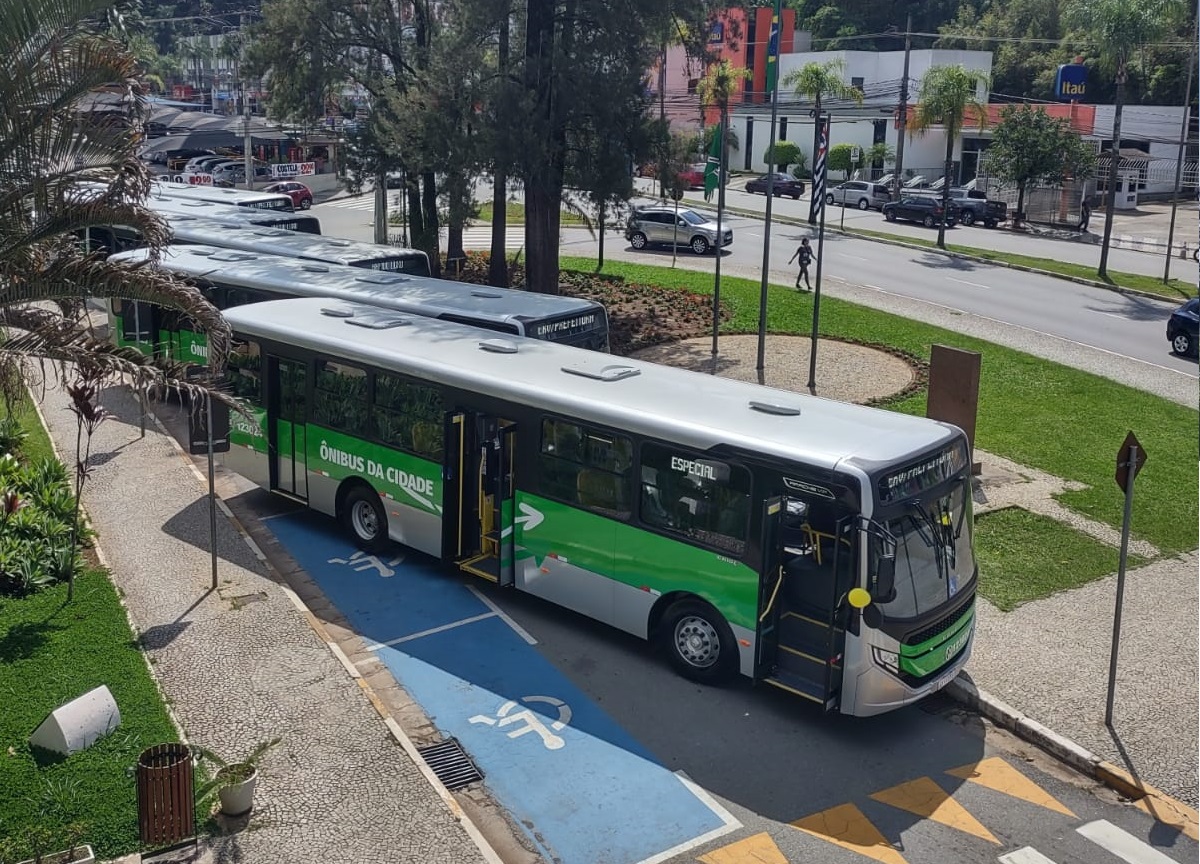 Novos ônibus da cidade  (11)