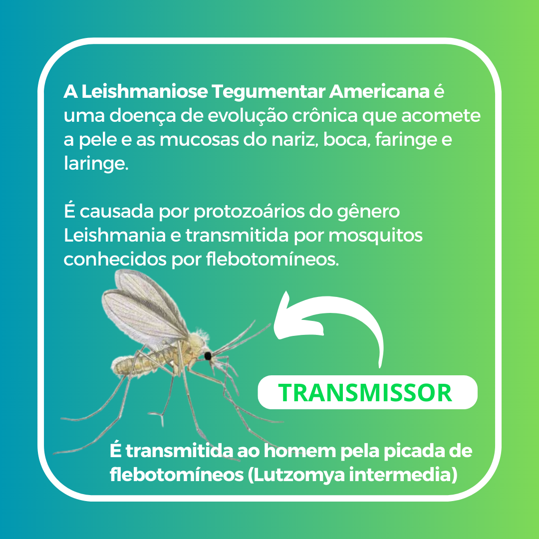 Post para Instagram informativo CTA mensagem 3d gradiente verde  (1)