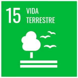 15-VIDA TERRESTRE
