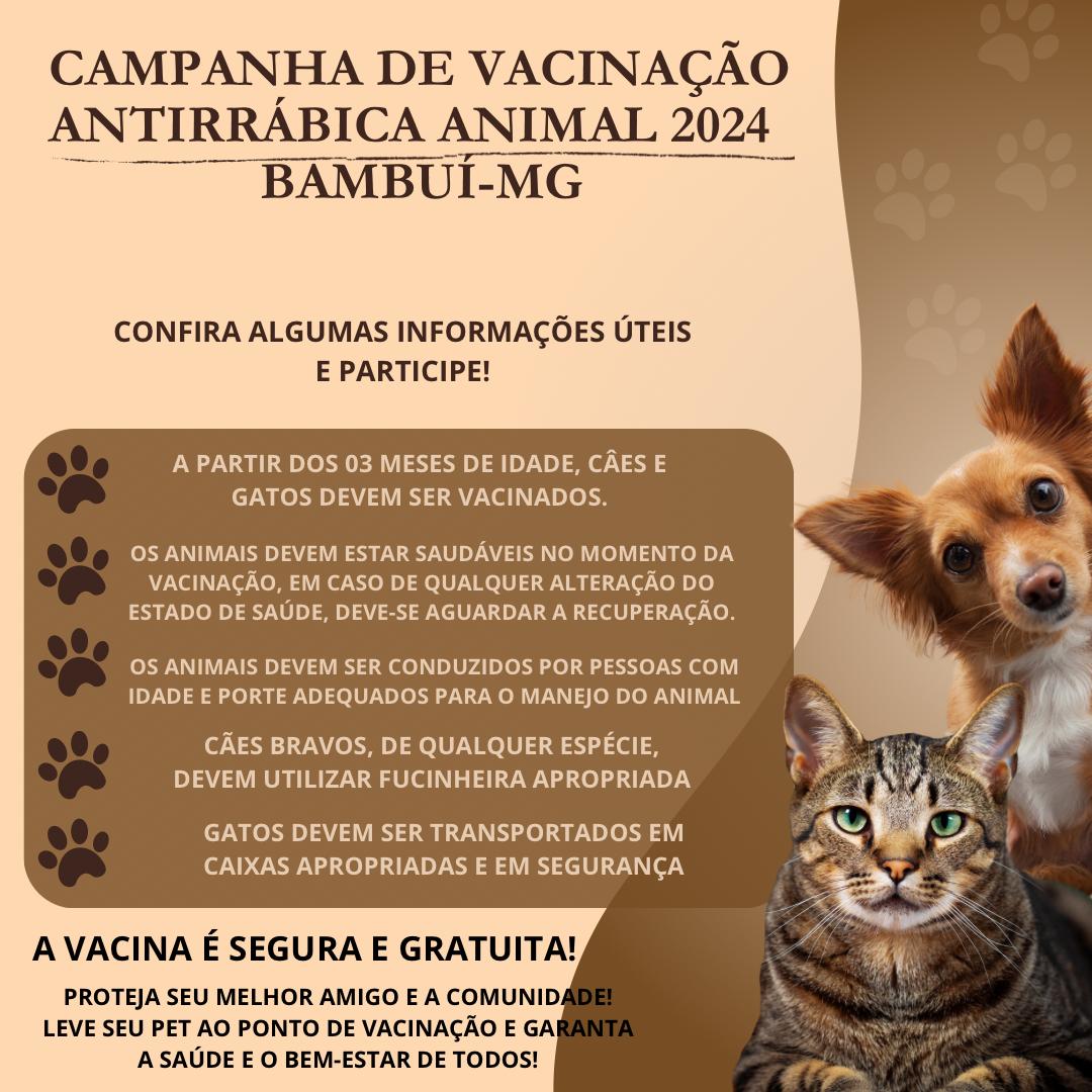 Campanha vacinação antirrábica