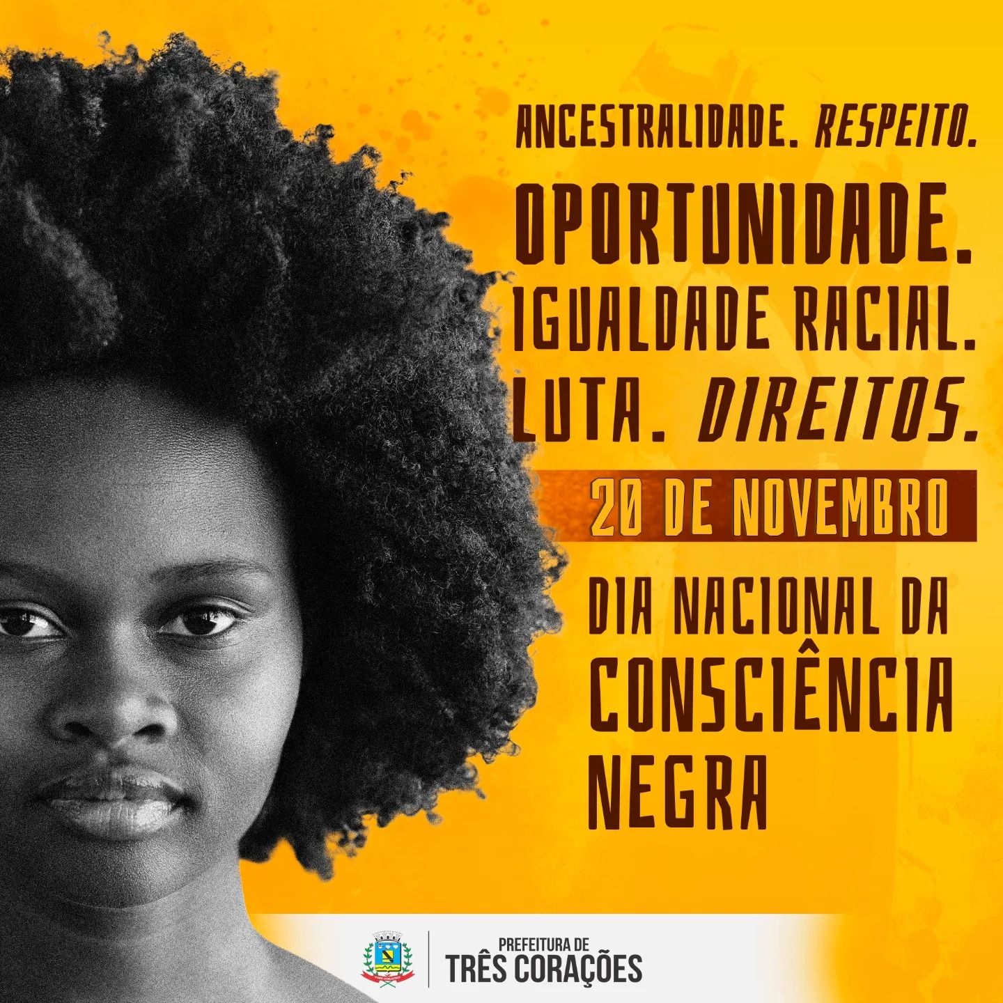 Dia da Consciência Negra