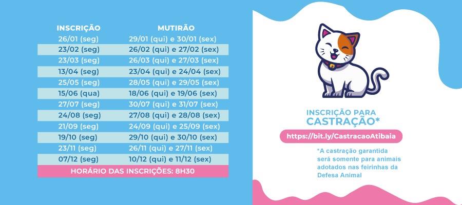 Calend&aacute;rio Castra&ccedil;&atilde;o