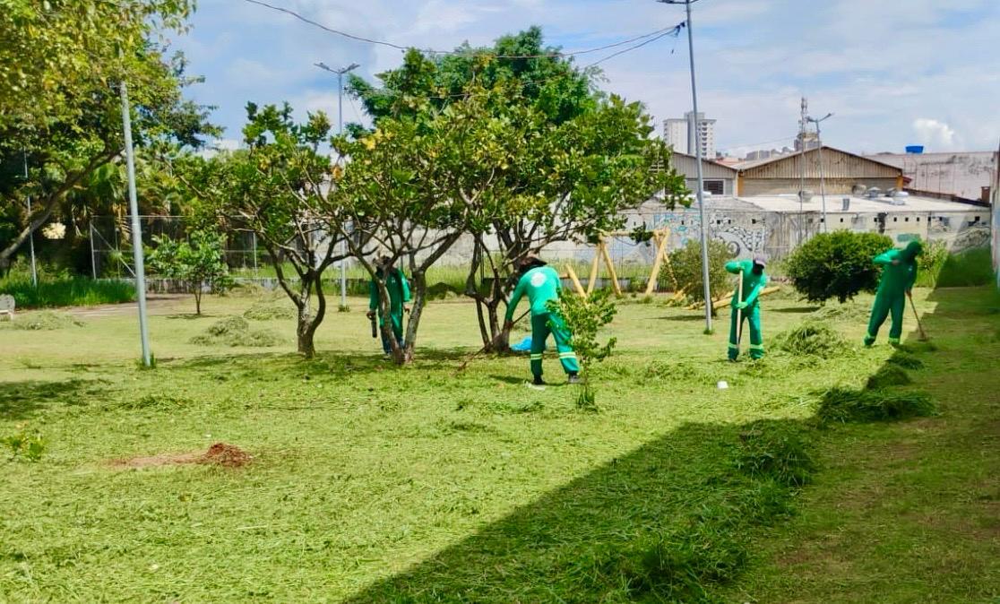 WhatsApp Image 2026-02-18 at 14.41.06