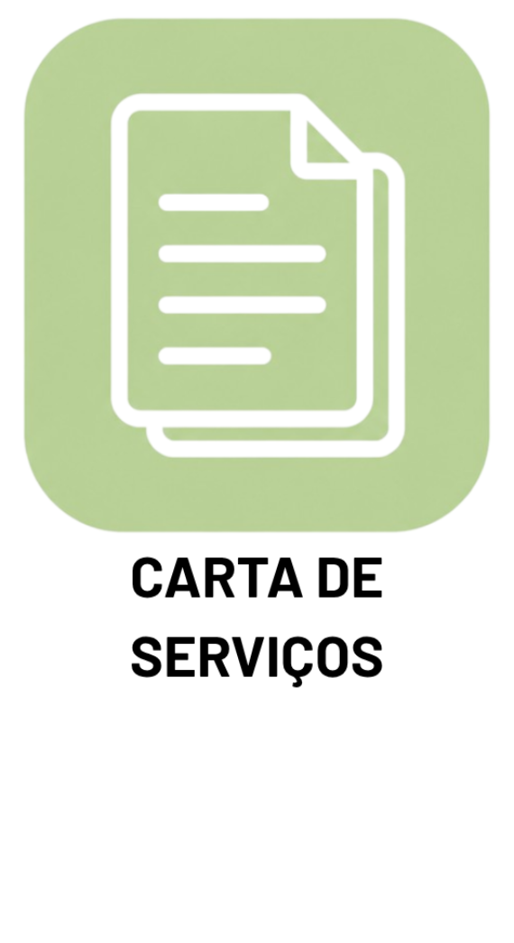 &iacute;cone 4