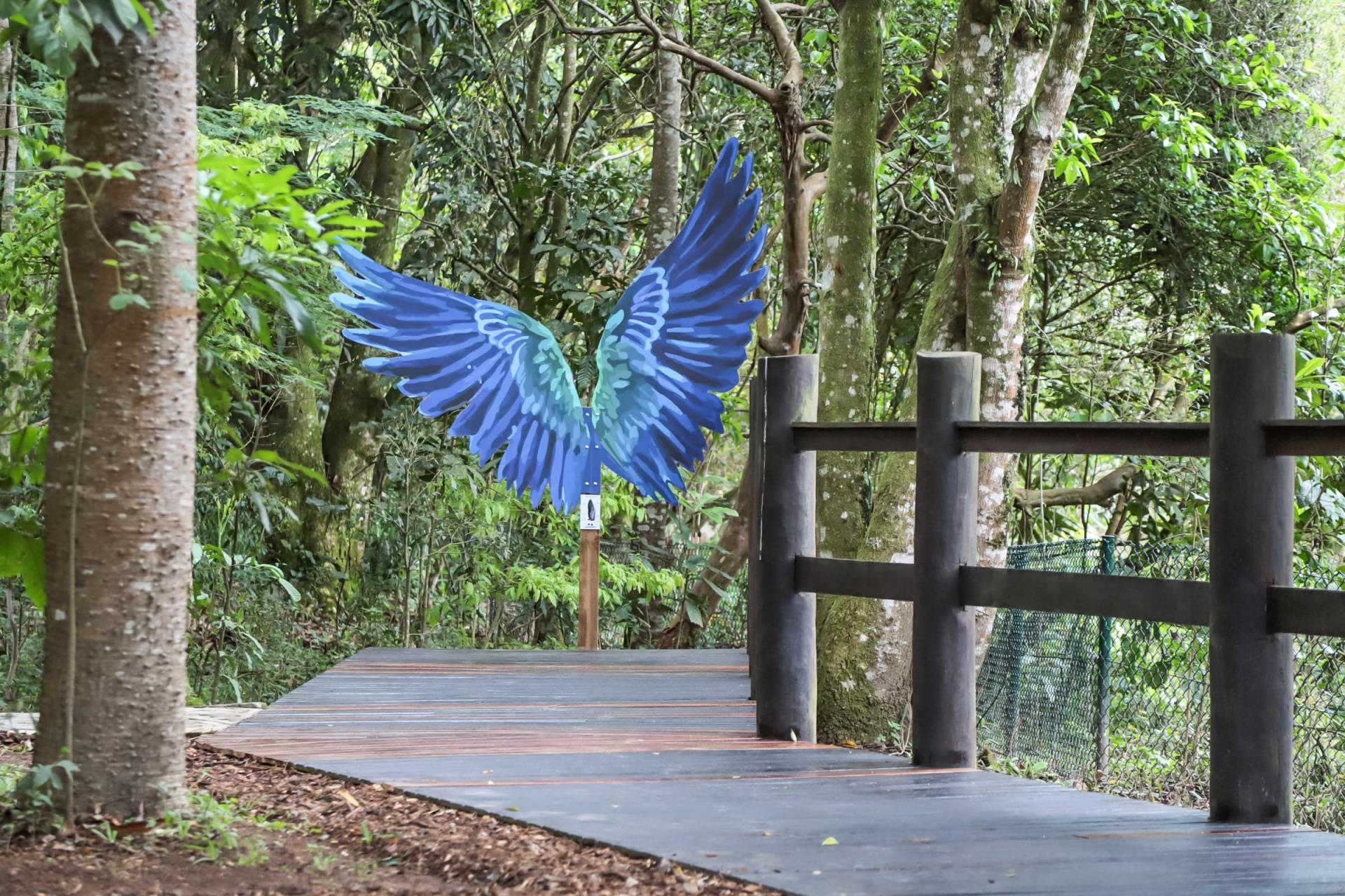 Ilha Grande - Guararema