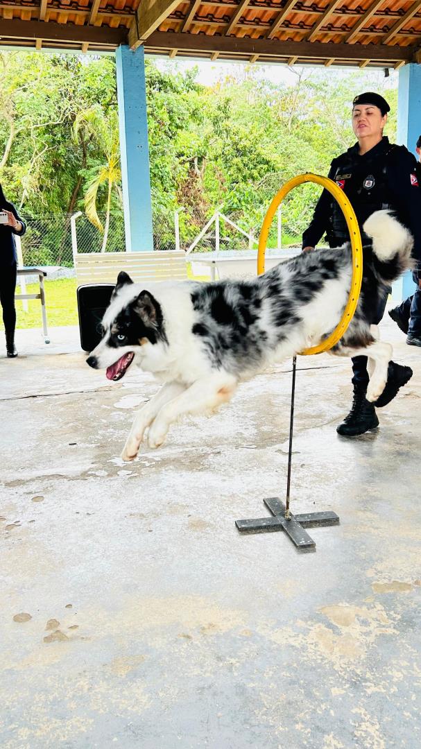 Crian&ccedil;as e adolescentes do Projeto Movimenta Suas t&ecirc;m dia especial com atividades e apresenta&ccedil;&atilde;o do canil da GCM (2)