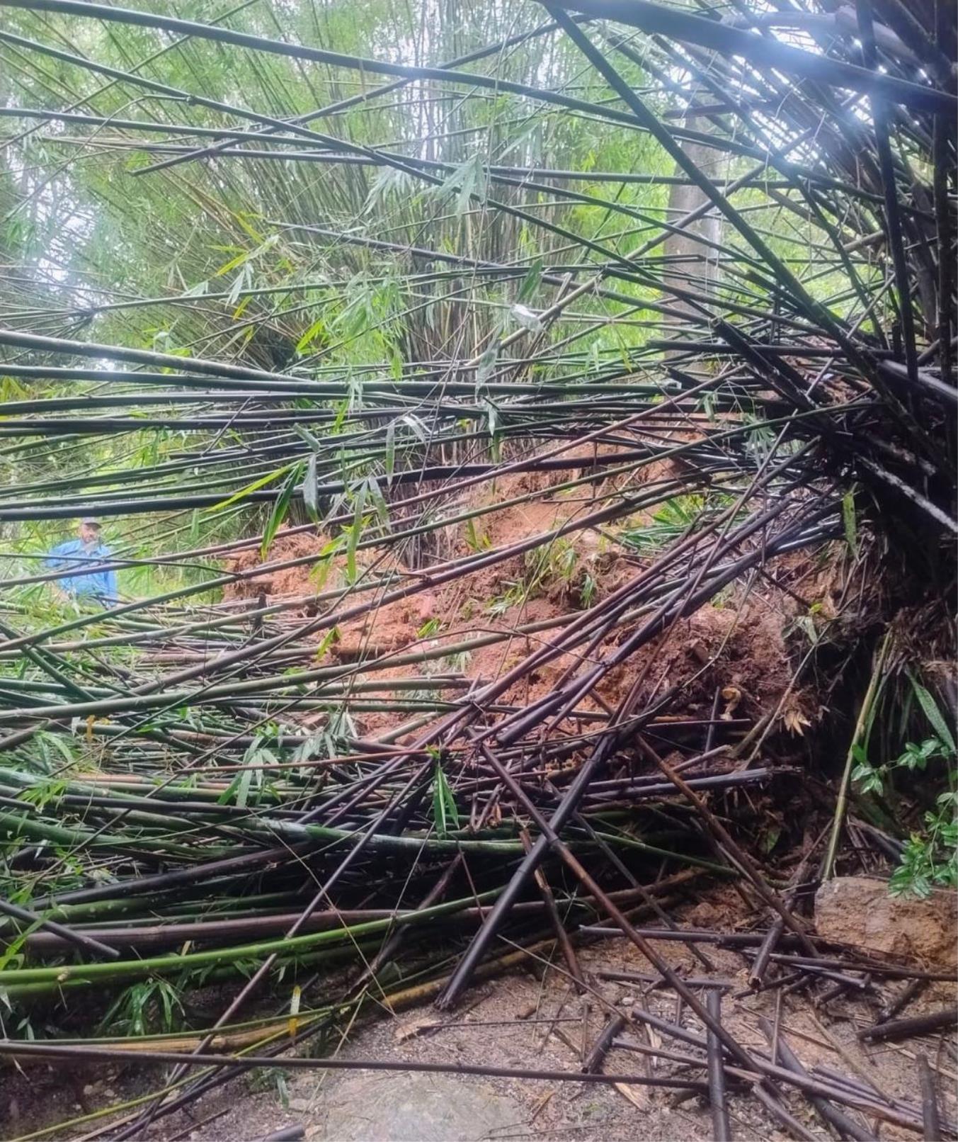 Chuvas provocam ocorr&ecirc;ncias em estradas e bairros de Monte Alegre do Sul (1)