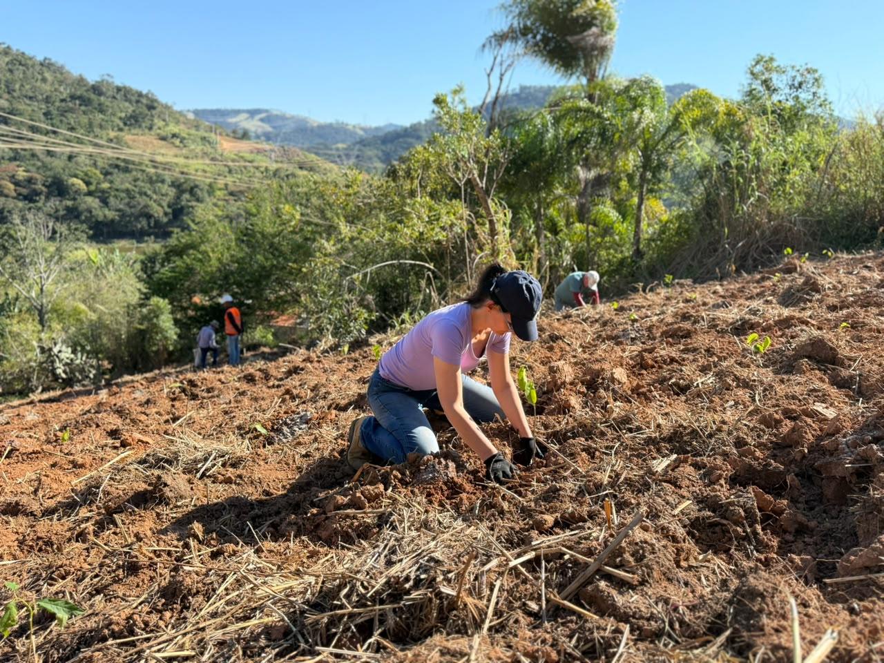 Prefeitura realiza plantio de mil mudas de árvores (2)