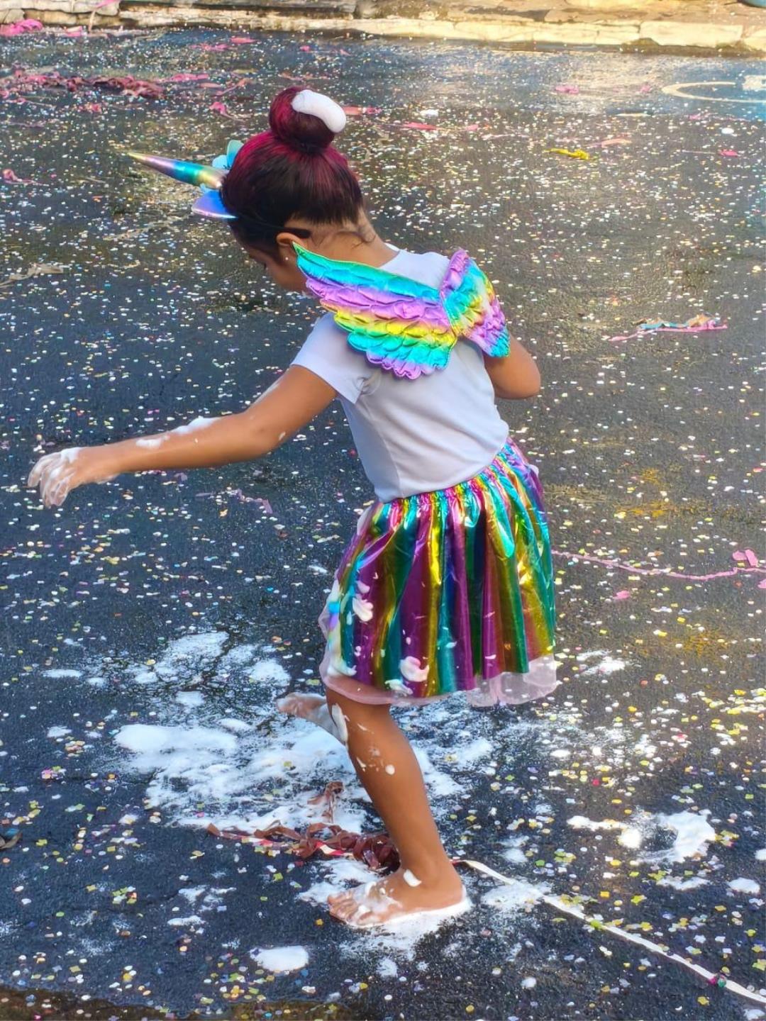 Carnaval Alegria em Família 2026 quatro dias de festa, organização e segurança (8)