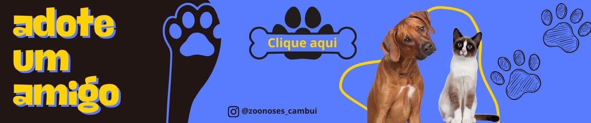 Zoonoses - Adote um amigo
