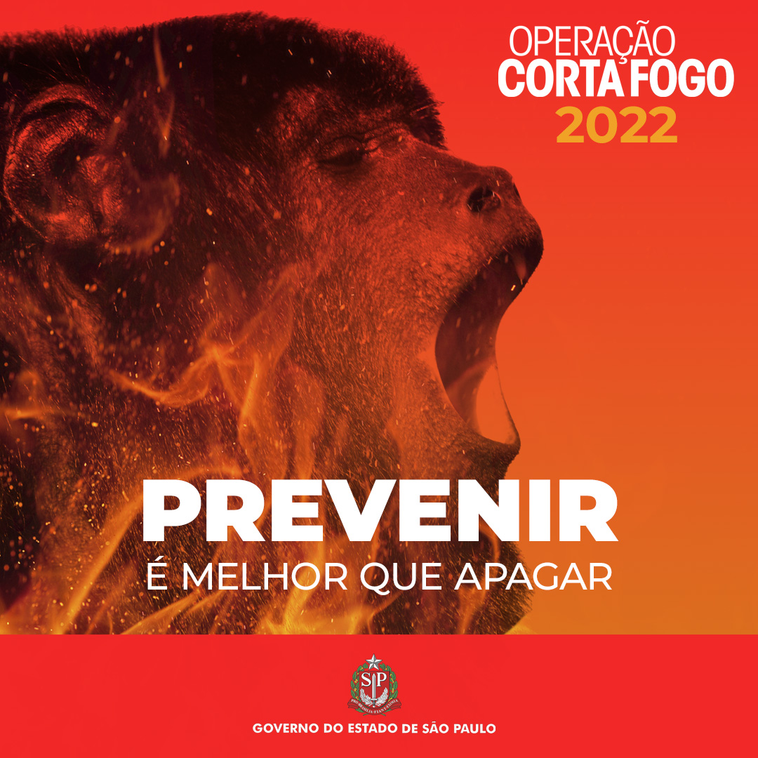 prevenir-e-melhor-que-apagar-2022-card