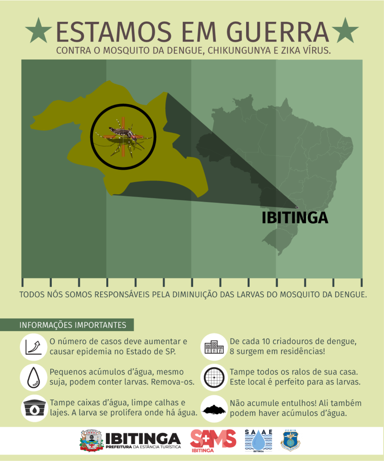 guerra contra a dengue