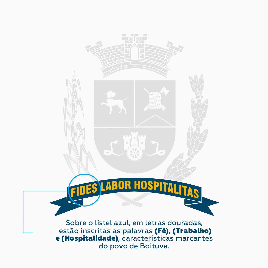 BRAS&Atilde;O DE BOITUVA 7