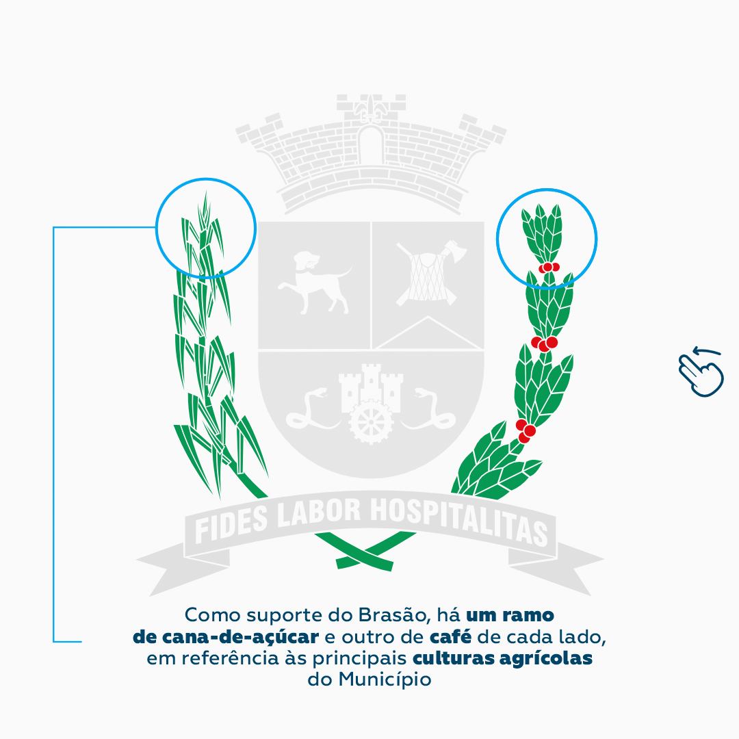 BRAS&Atilde;O DE BOITUVA 6