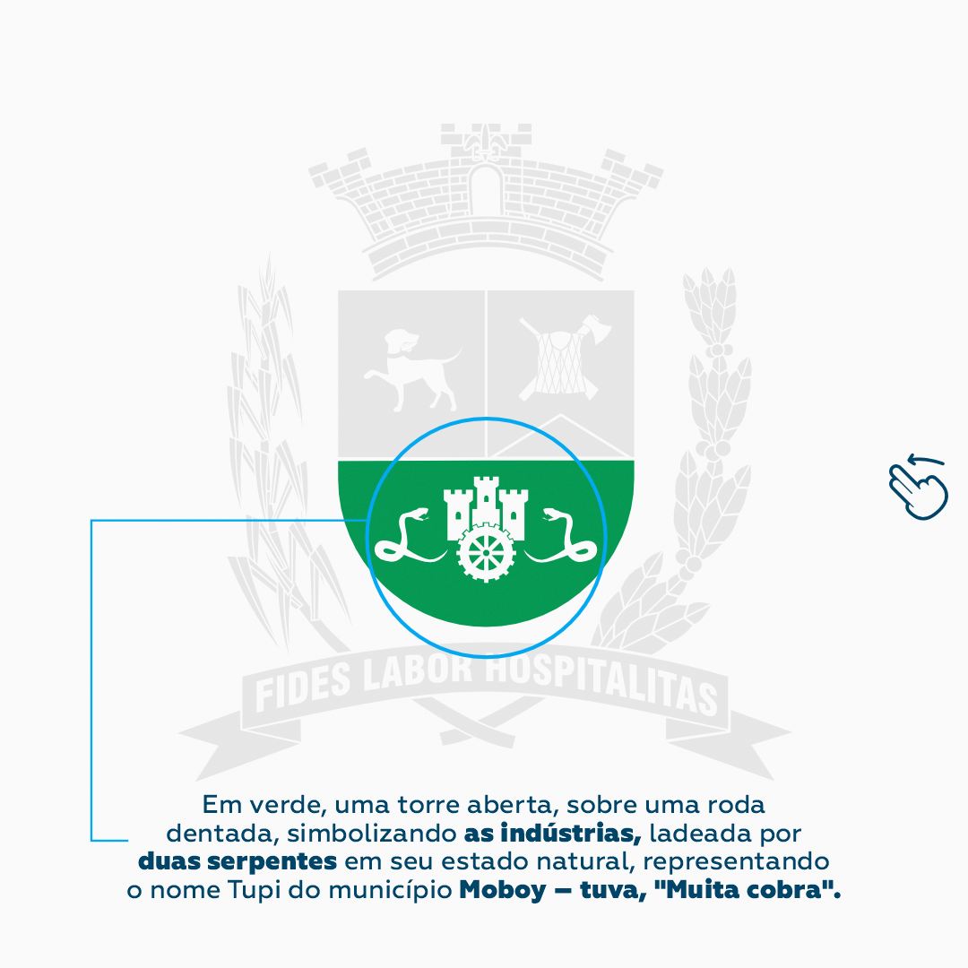 BRAS&Atilde;O DE BOITUVA 5