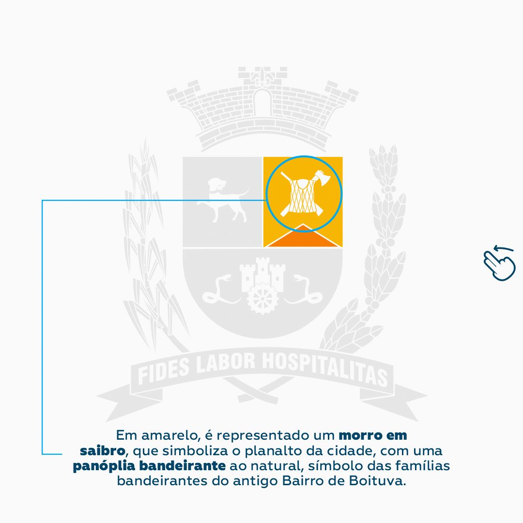 BRAS&Atilde;O DE BOITUVA 4