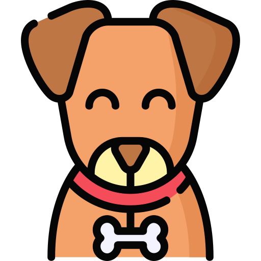 cachorro