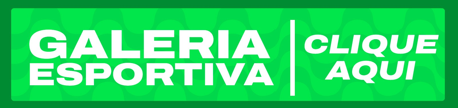 imagem_2025-03-28_164514263
