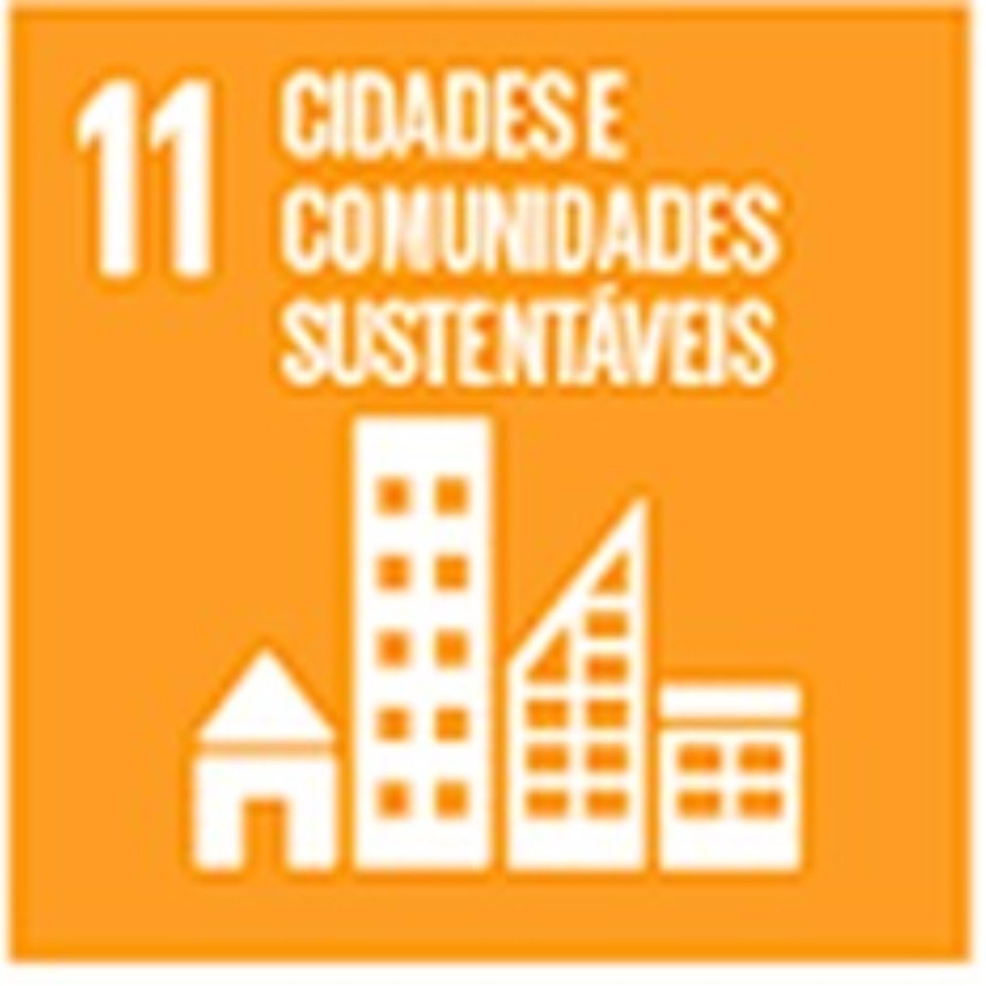 11 Cidades e Comunidades Sustentáveis