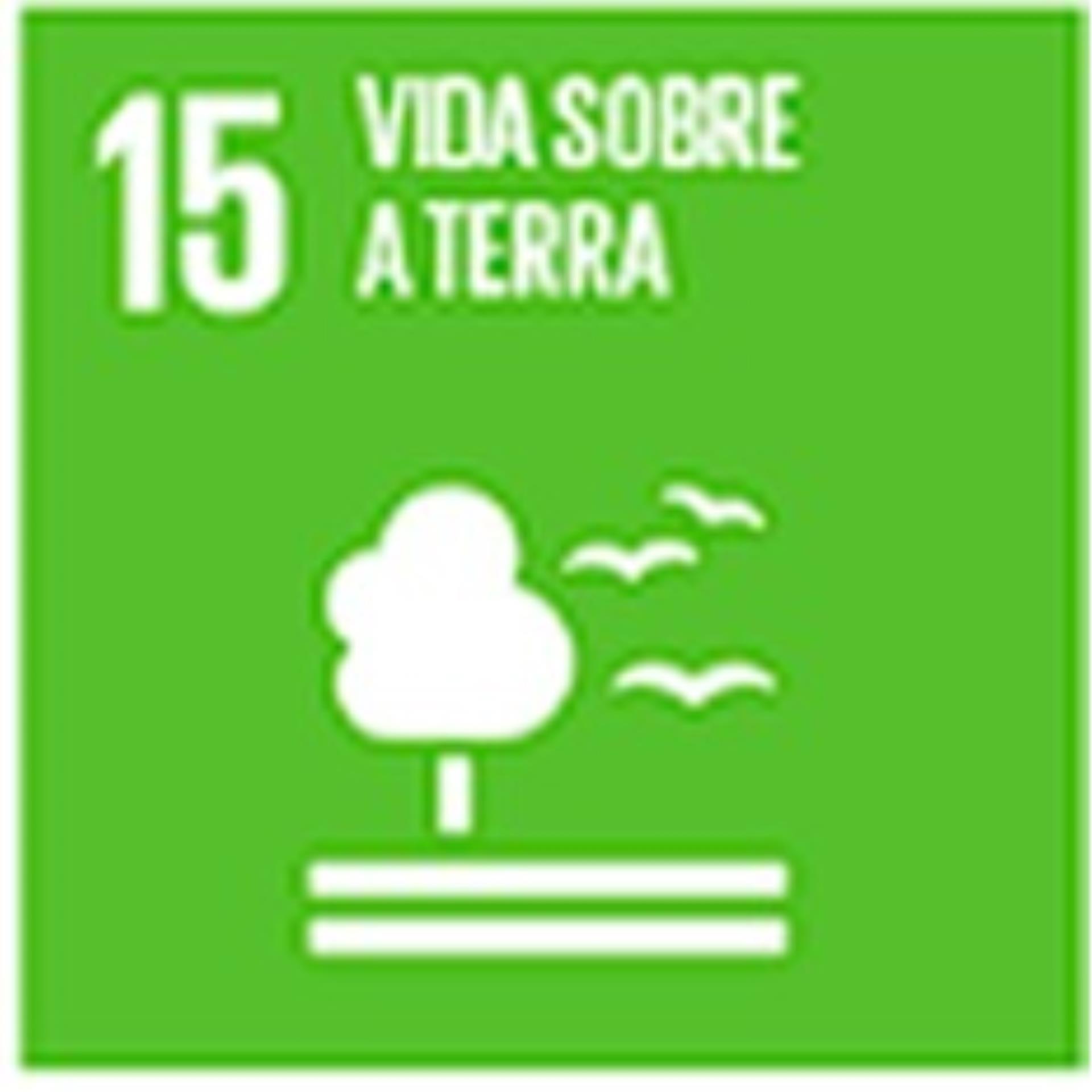 15 Vida Sobre a Terra