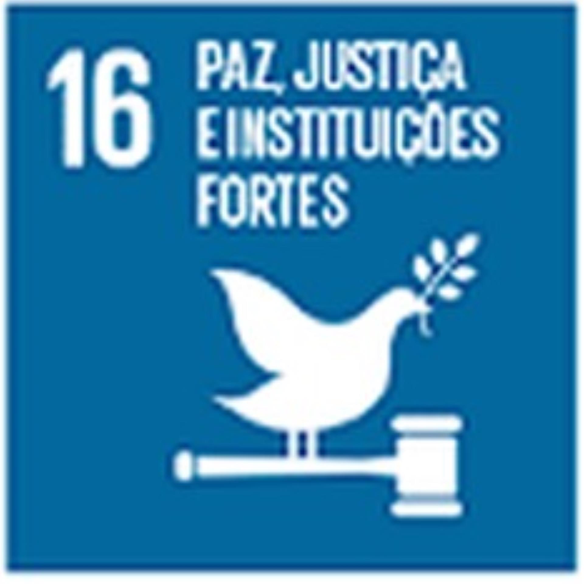 16 Paz, Justiça e Instituições Fortes
