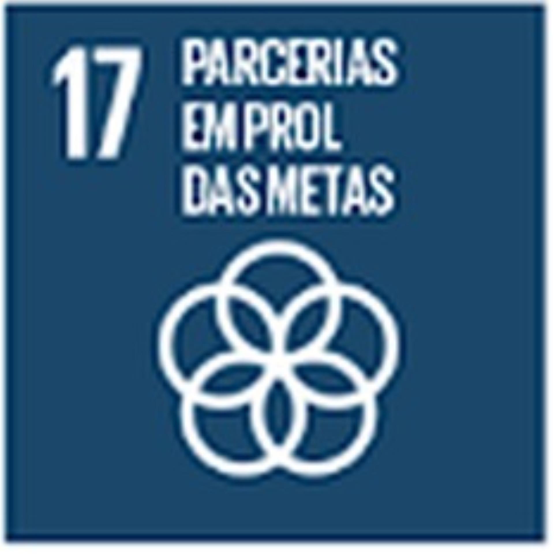 17 Parcerias em Prol das Metas