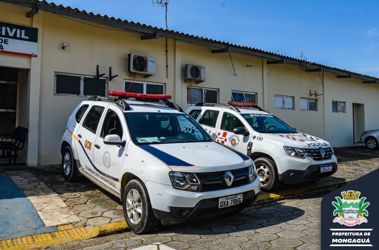 Pesquisa mostra que 42% das mortes no trânsito em SP são causadas por  suspeita de embriaguez ao volante, São Paulo