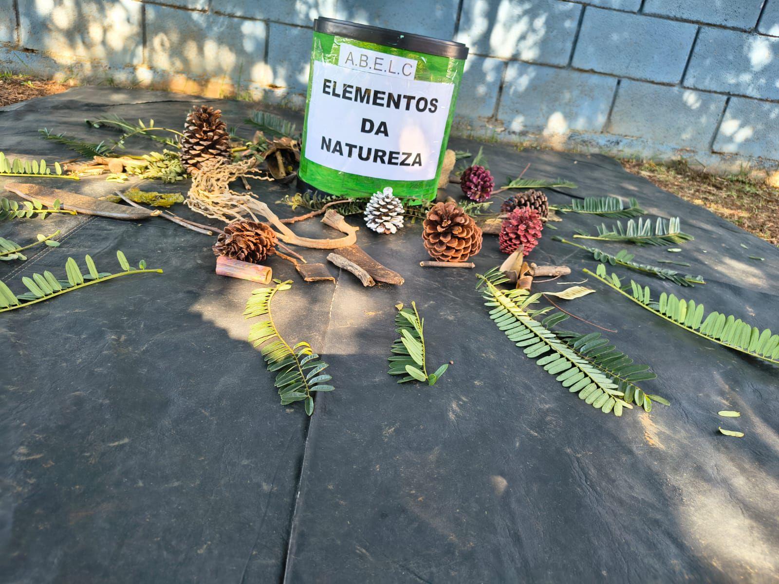 Primeira inf&acirc;ncia ganha aten&ccedil;&atilde;o especial na rede municipal de ensino Foto 01