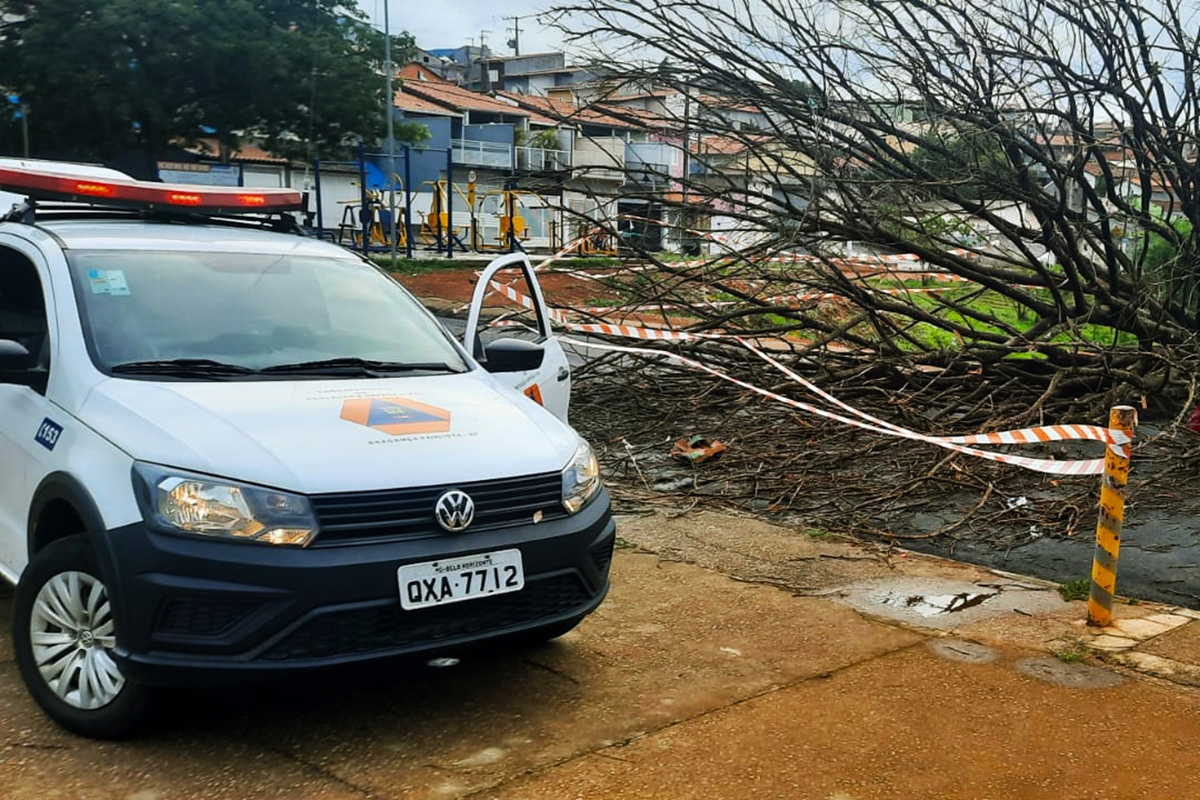 04.10.2021 Quedas de árvores (1)