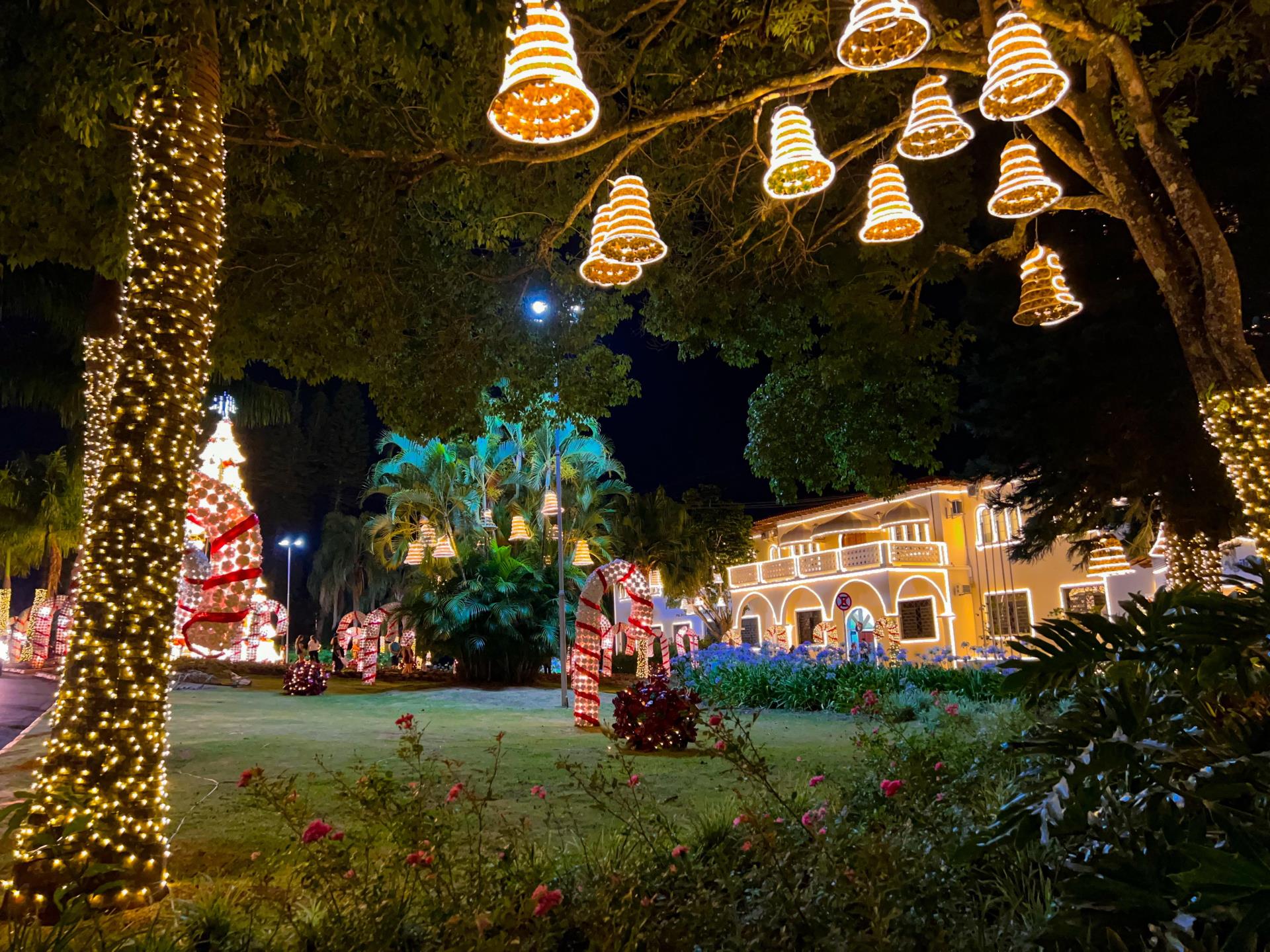 WhatsApp Image 2023-11-16 at 20.58.10