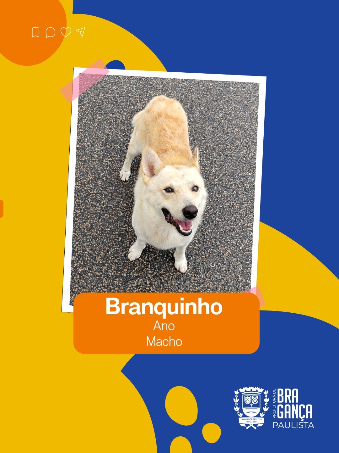 WhatsApp Image 2026-02-20 at 15.58.28