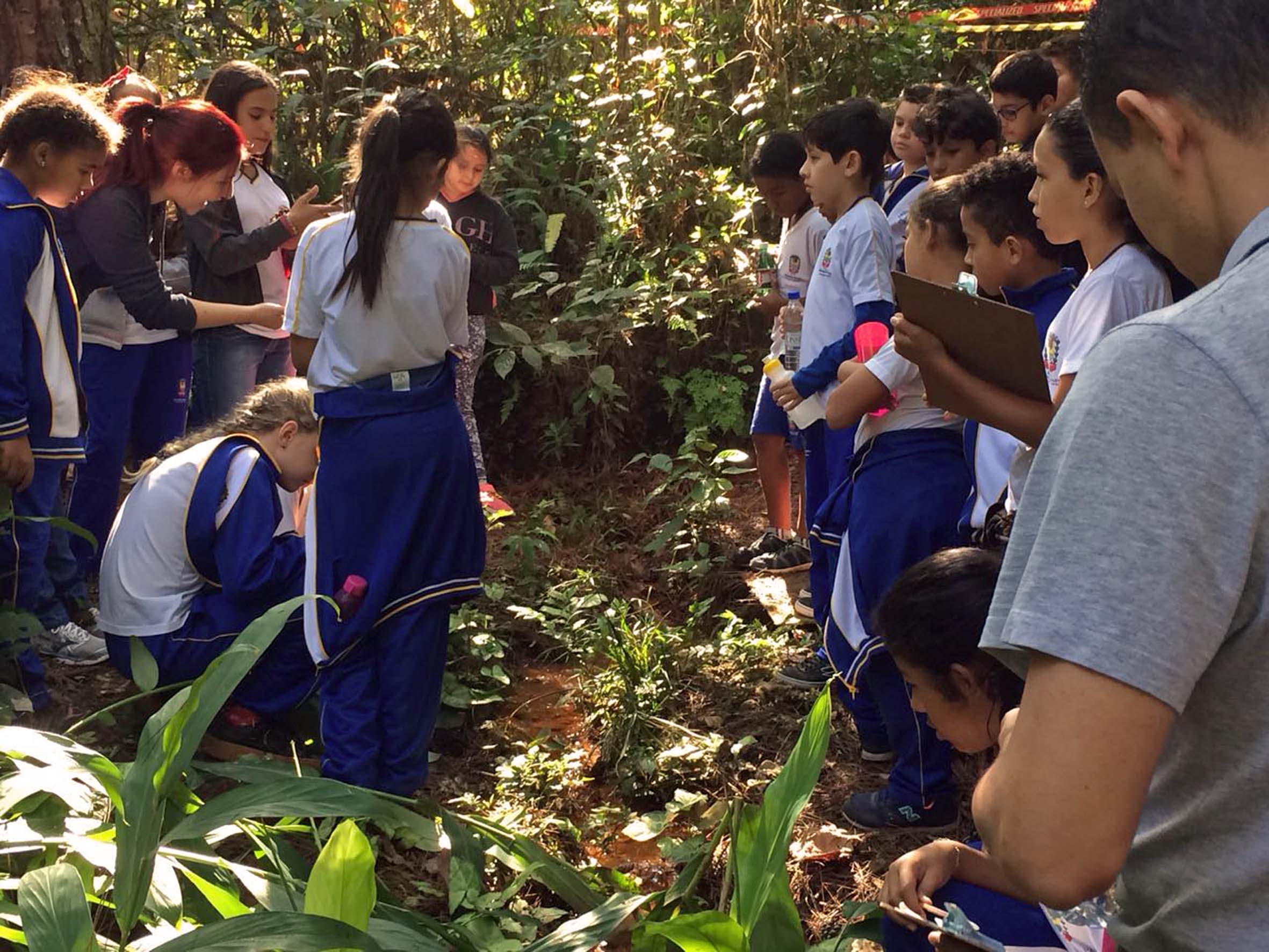 Bragan&ccedil;a Paulista celebrar&aacute; o Dia Mundial do Meio Ambiente com a&ccedil;&otilde;es de educa&ccedil;&atilde;o e conserva&ccedil;&atilde;o (2)