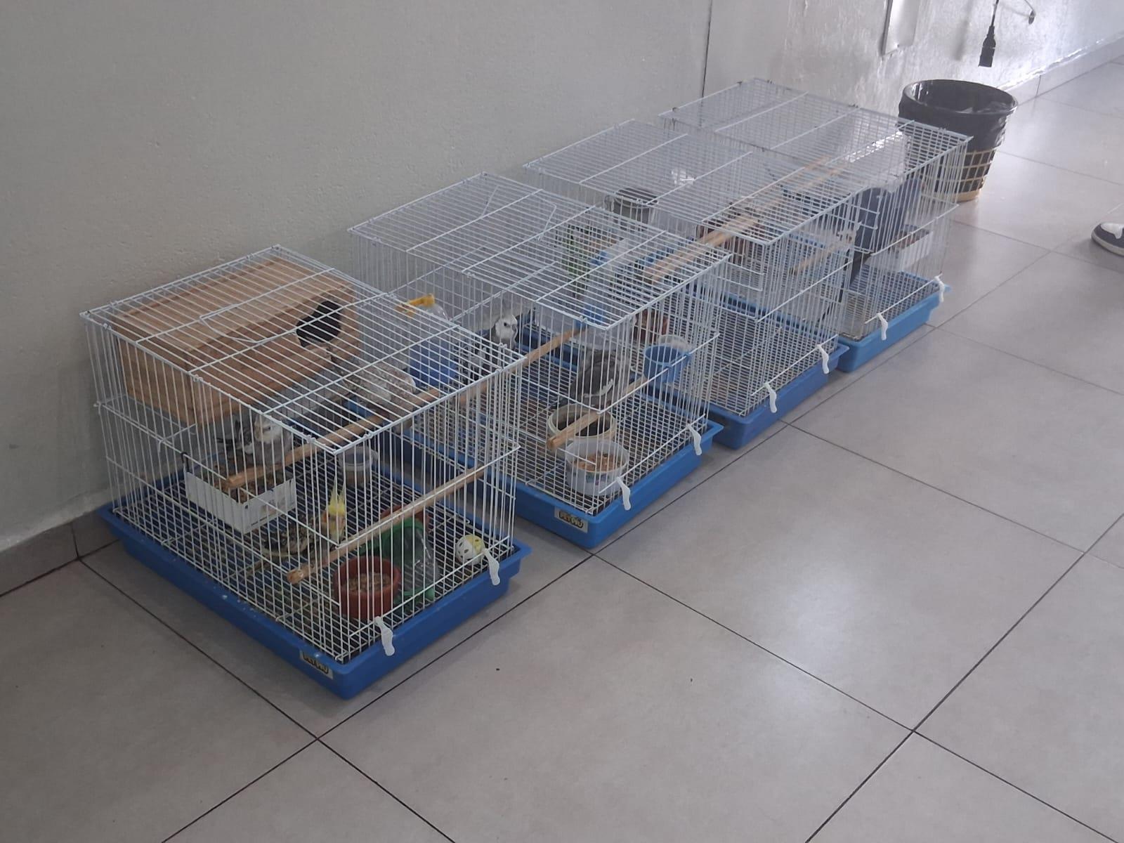 Equipes tamb&eacute;m identificaram crime ambiental na mesma ocorr&ecirc;ncia.