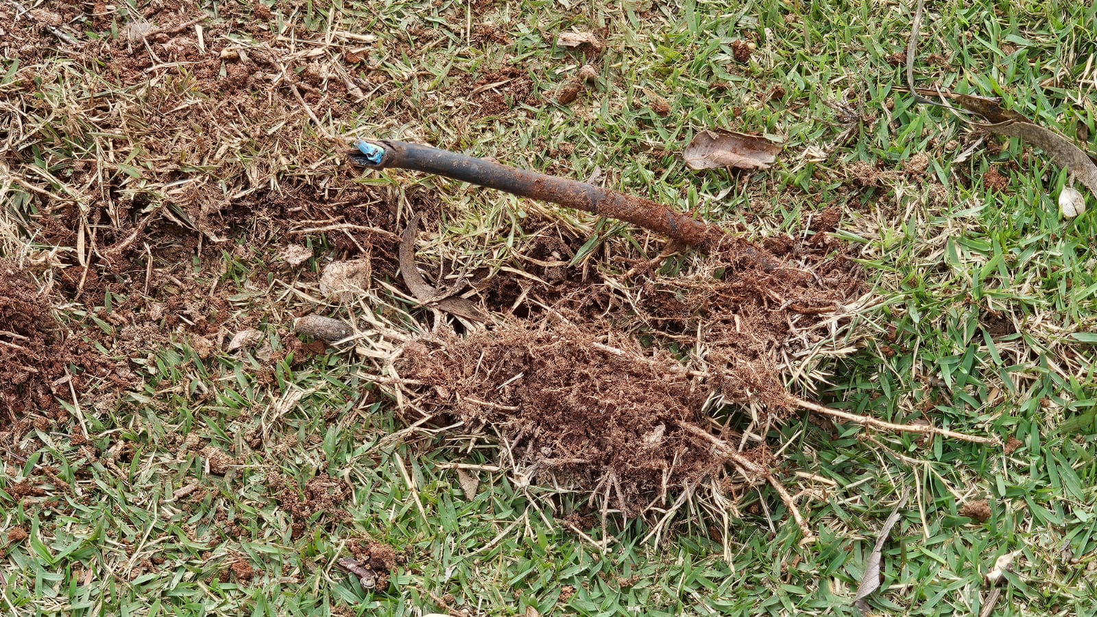 Ladr&otilde;es furtam cabos do jardim japon&ecirc;s no Lago do Tabo&atilde;o 01