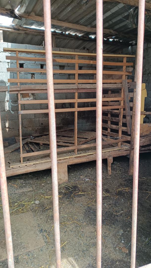 c&atilde;o resgatado 2