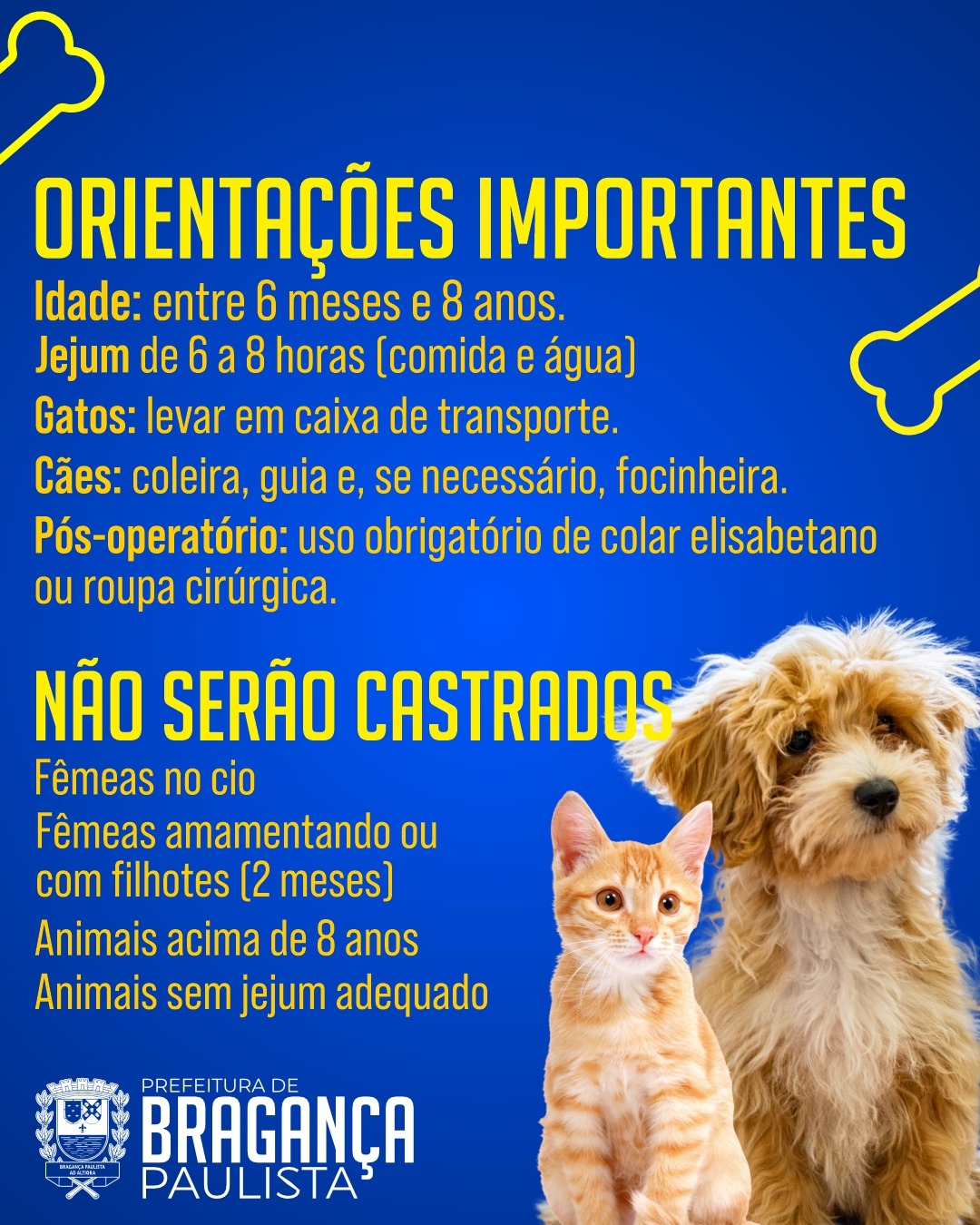 FEED - Castramóvel acontece nos dias 08 e 09 de outubro em Bragança Paulista (1)