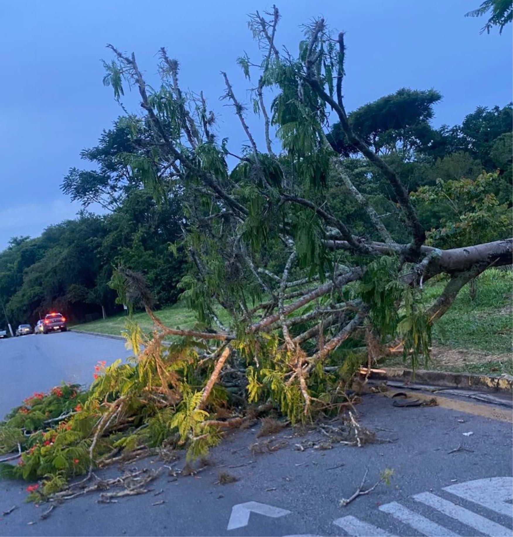 Bragança Paulista registra chuva de moderada intensidade Foto 1