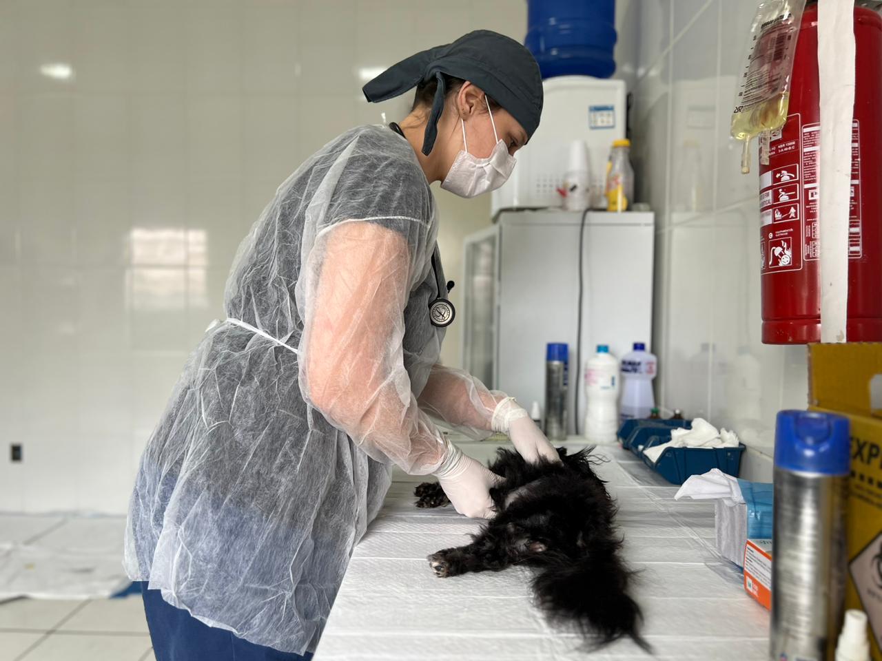 Castram&oacute;vel atender&aacute; na Penha nos dias 23 e 24 de novembro (2)