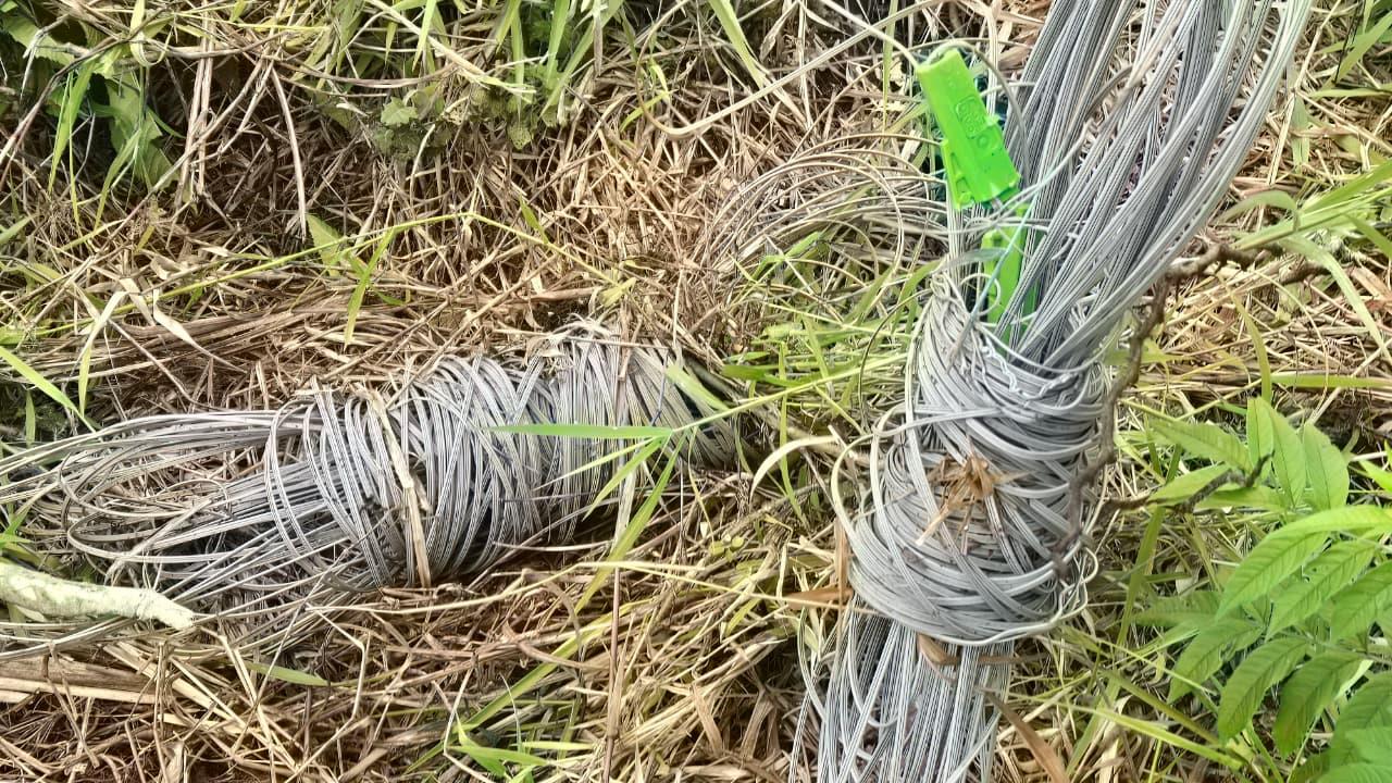 Prefeitura autua empresa por descarte irregular de fios telef&ocirc;nicos em &aacute;rea p&uacute;blica no Jardim &Aacute;guas Cla (2)