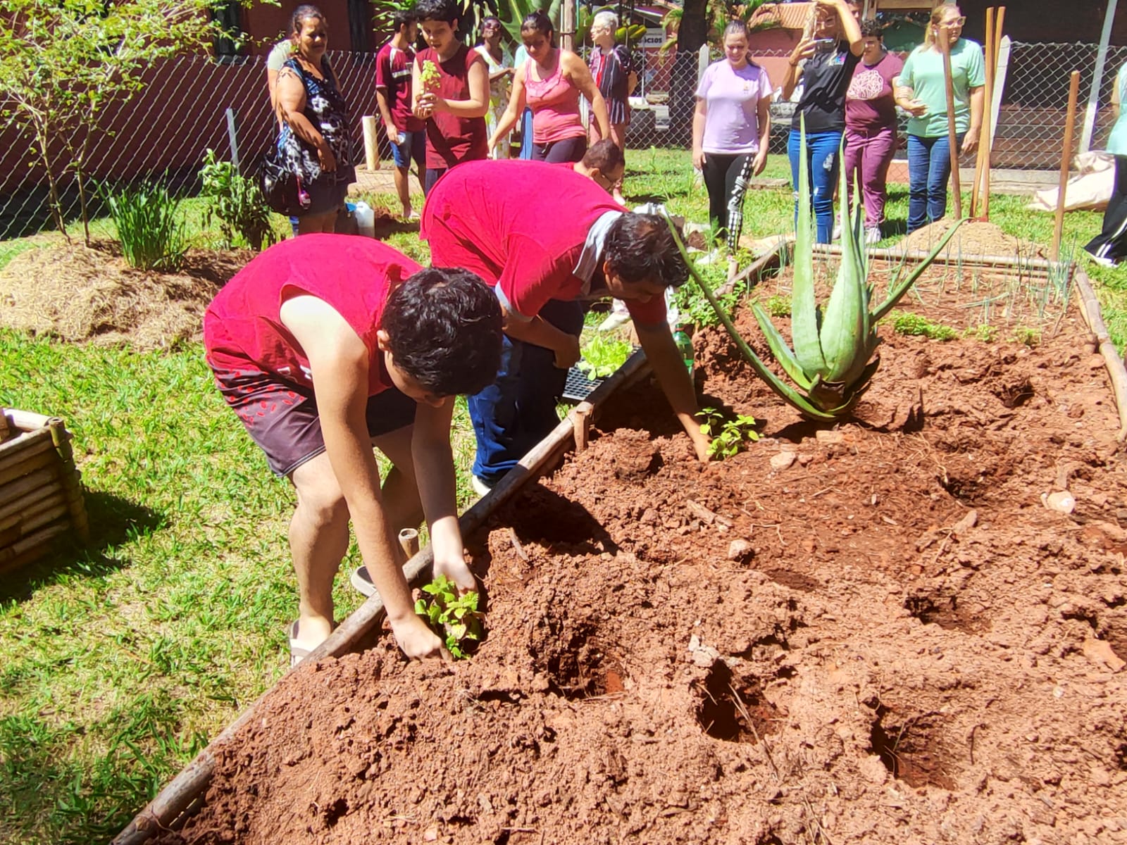 Prefeitura de Bragan&ccedil;a Paulista promove curso de Horticultura Inclusiva (3)