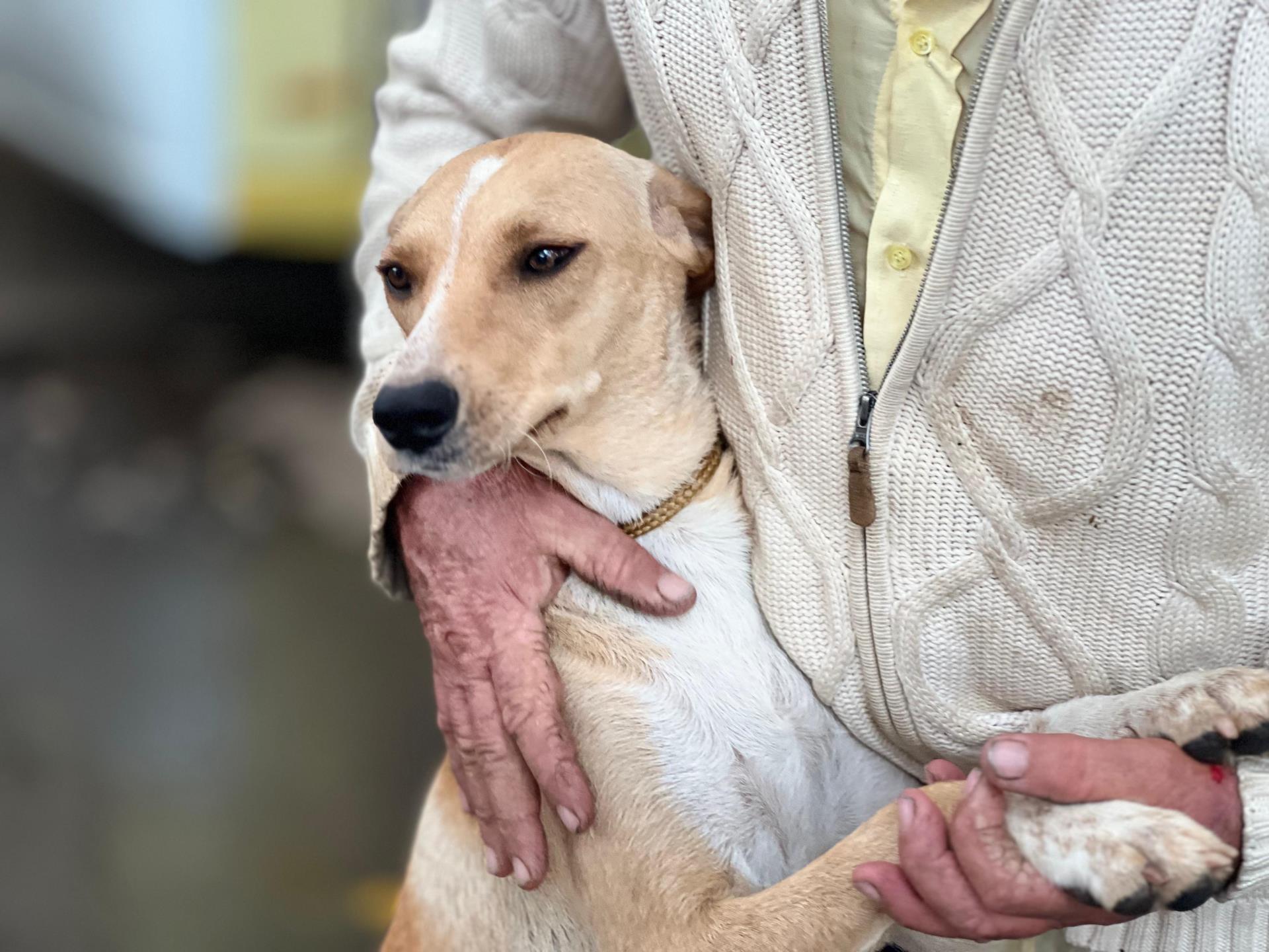 Bragança Paulista amplia controle populacional de animais com mais uma ação do Castramóvel (2)