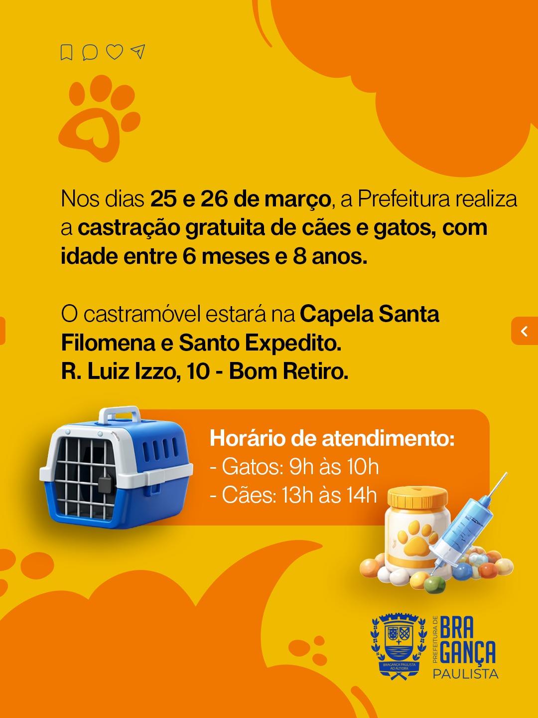 WhatsApp Image 2026-03-11 at 13.06.55 (1)