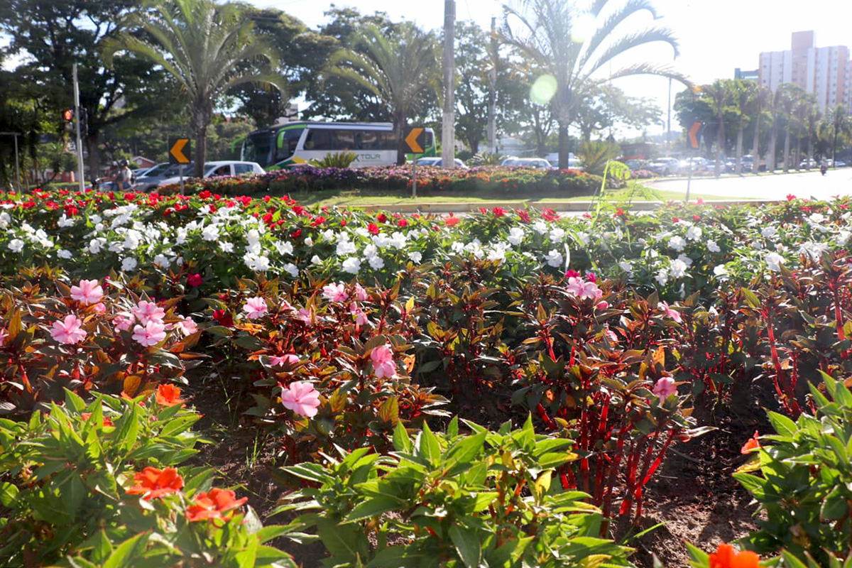 30.03.2022 Paisagismo da cidade (1)