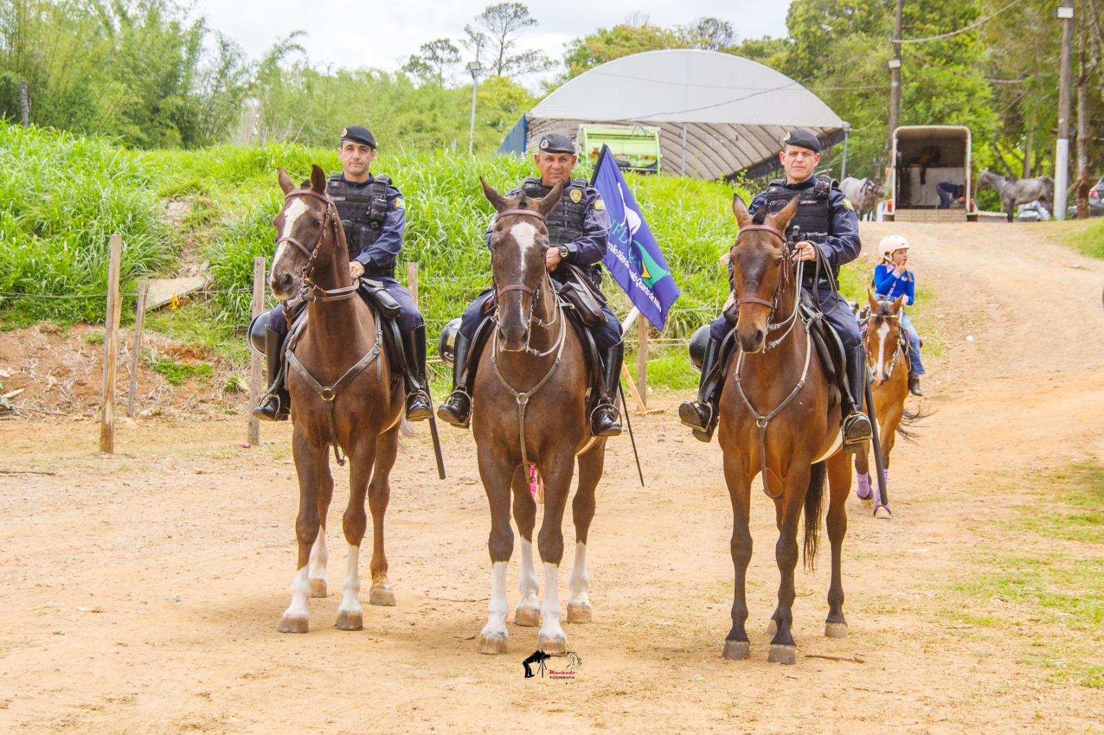 &Uacute;ltima etapa do 4&ordm; Campeonato de Cavalo Quarto de Milha movimenta o Posto de Monta neste s&aacute;bado (1107)