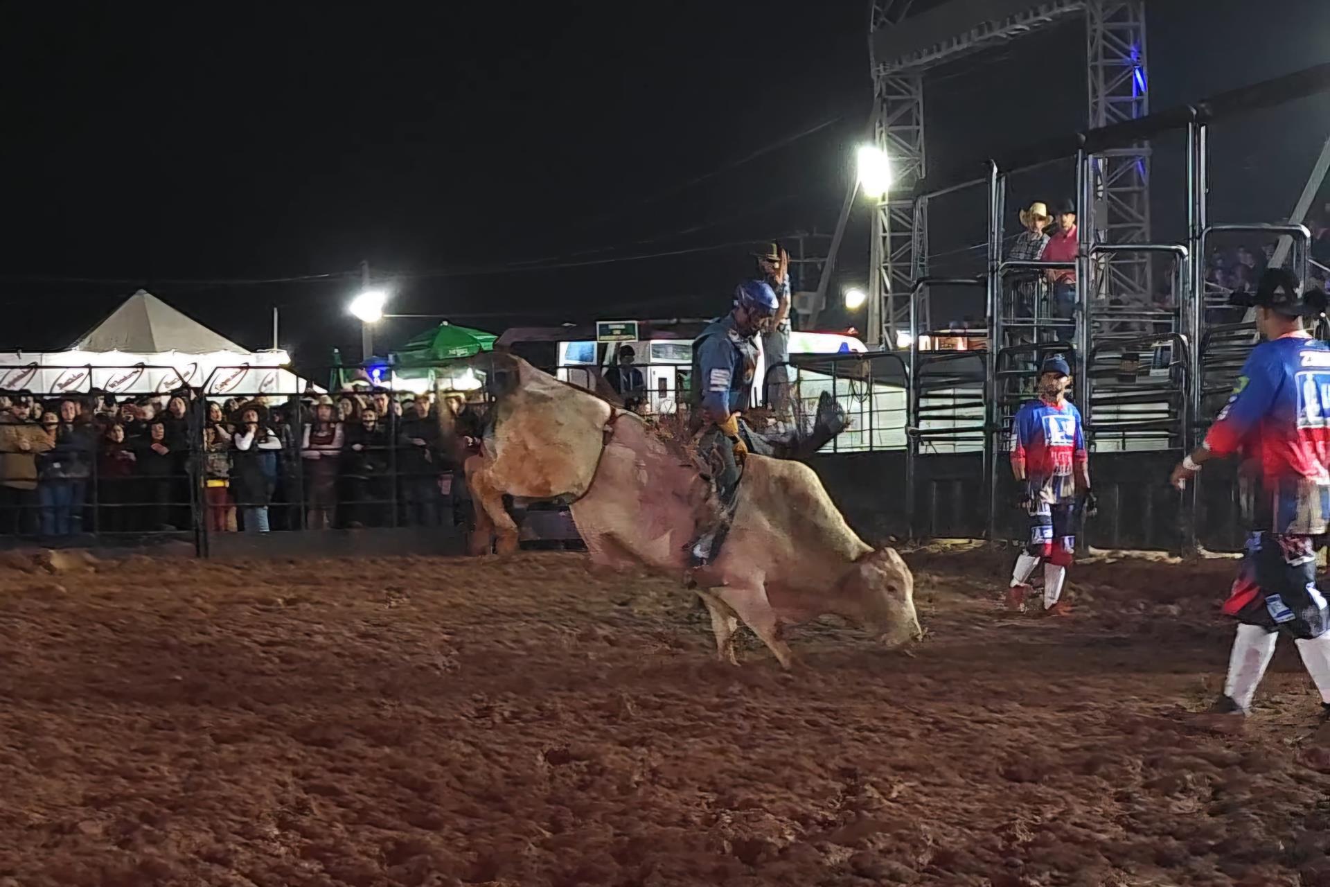 Leilão Público para a Festa do Peão e Expoagro 2026 acontece em 04 de março Foto 01
