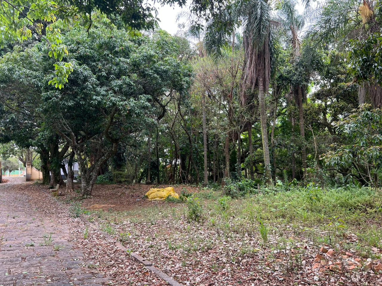 CONDEPHAC e Secretaria de Obras realizam visita técnica ao antigo Preventório Imaculada Conceição (12)