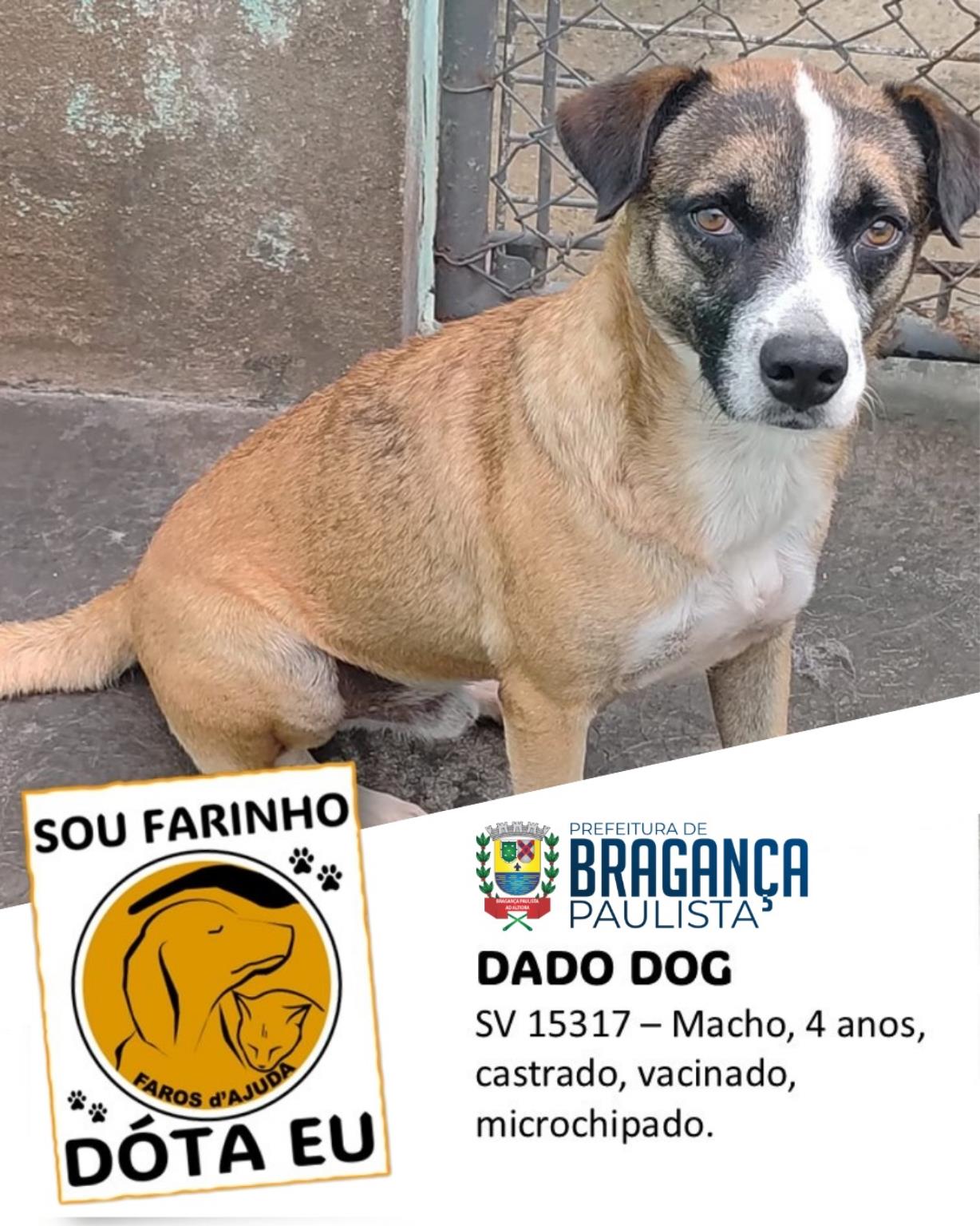 Mais do que adoção, um compromisso de amor (10)