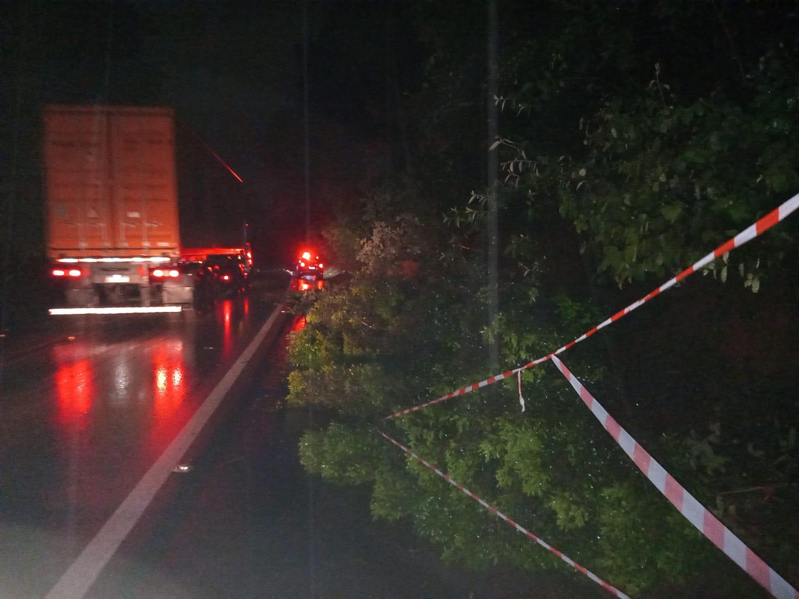 RUA ALZIRO DE OLIVEIRA 612 FOTO 3