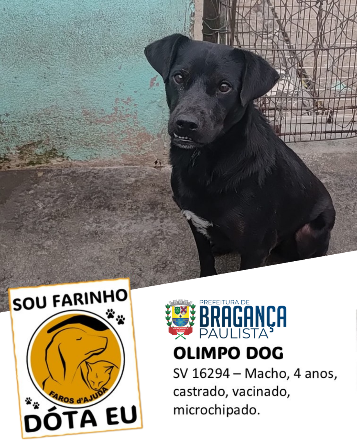 Olimpo
