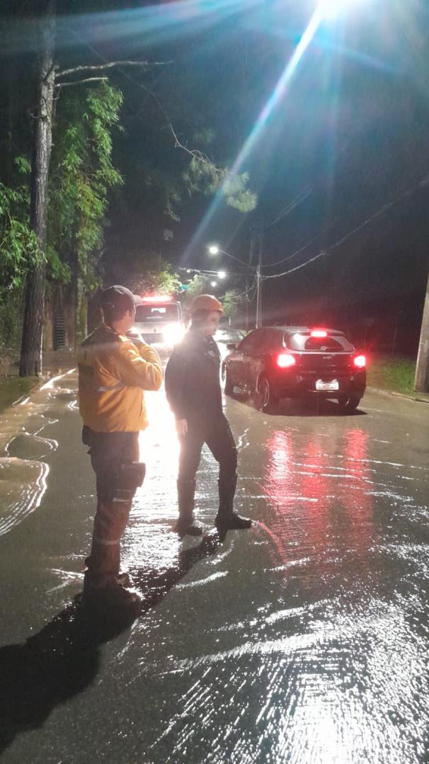 RUA LUIGI FRANCISCO PICARELLI FOTO 2